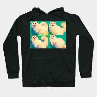 Surprised Whiskers Collection XIV Hoodie